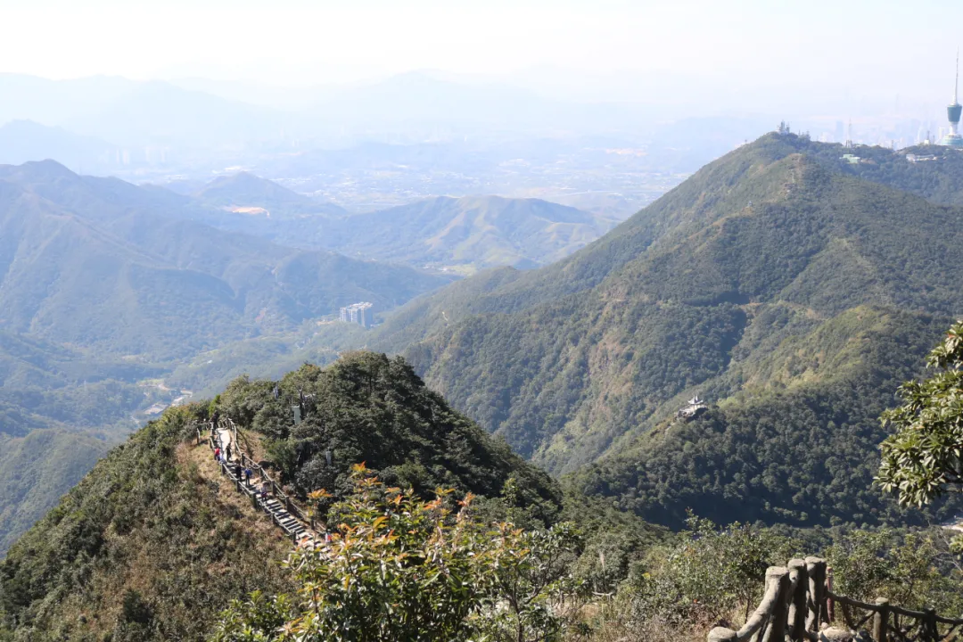 海普天丨市場(chǎng)部團(tuán)建活動(dòng)---梧桐山之旅......(圖15)